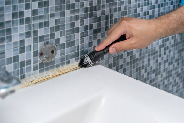 Best Local Mold Removal Service  in Pen Argyl, PA
